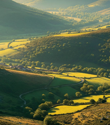 Bierzo en estado puro